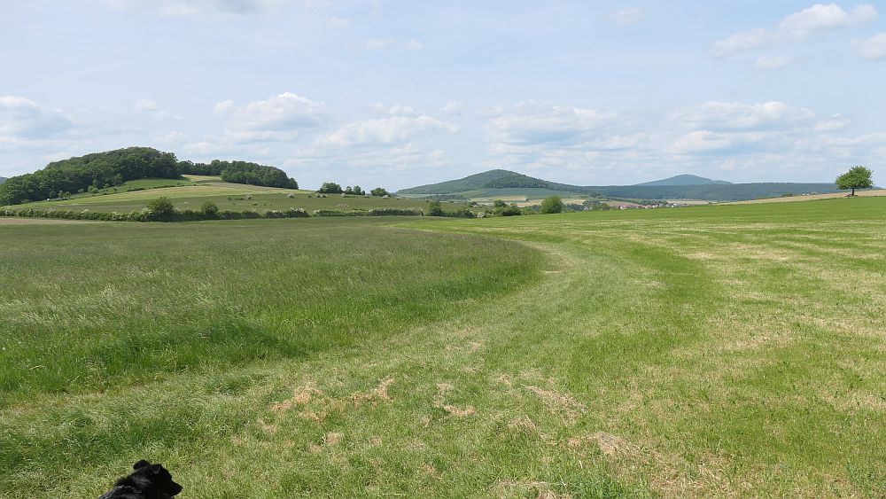 Der Rasdorfer