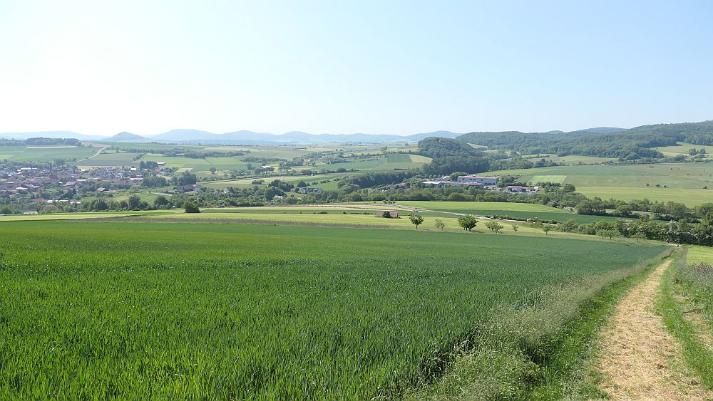 Der Rasdorfer