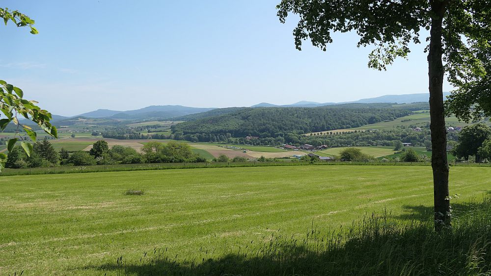 Der Rasdorfer