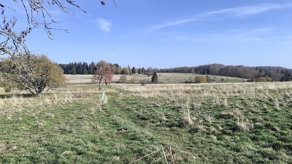 Schwarzes Moor