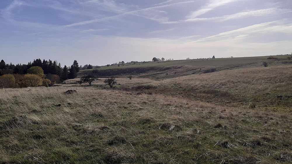Schwarzes Moor