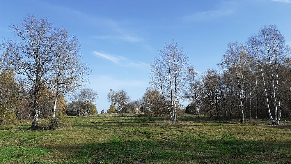 Schwarzes Moor