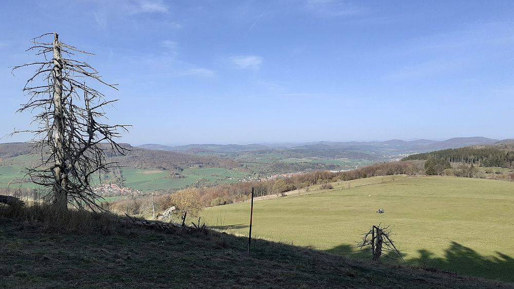 Schwarzes Moor