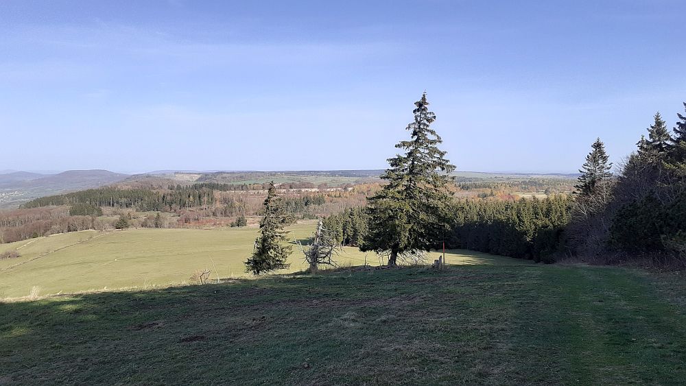 Schwarzes Moor