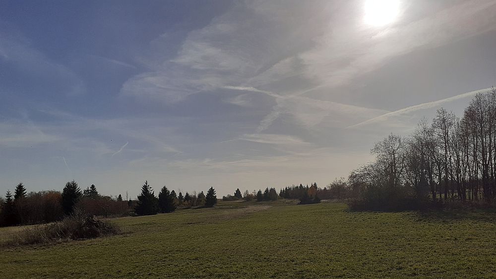 Schwarzes Moor