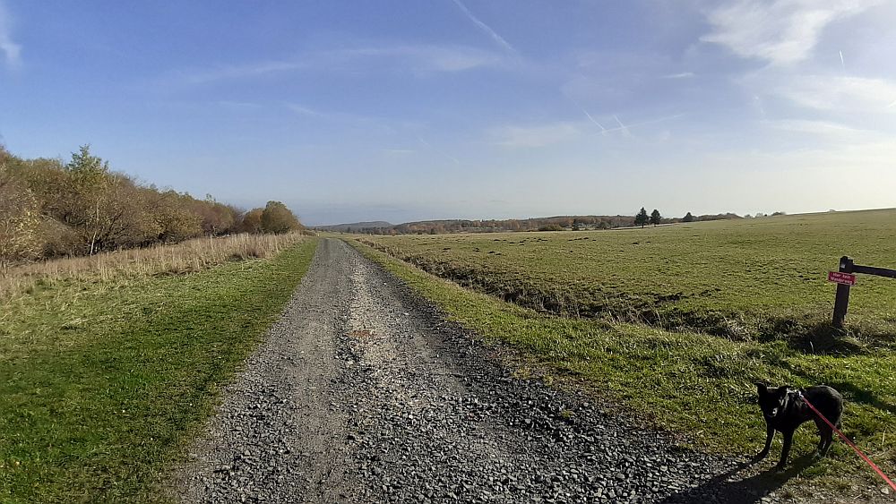 Schwarzes Moor
