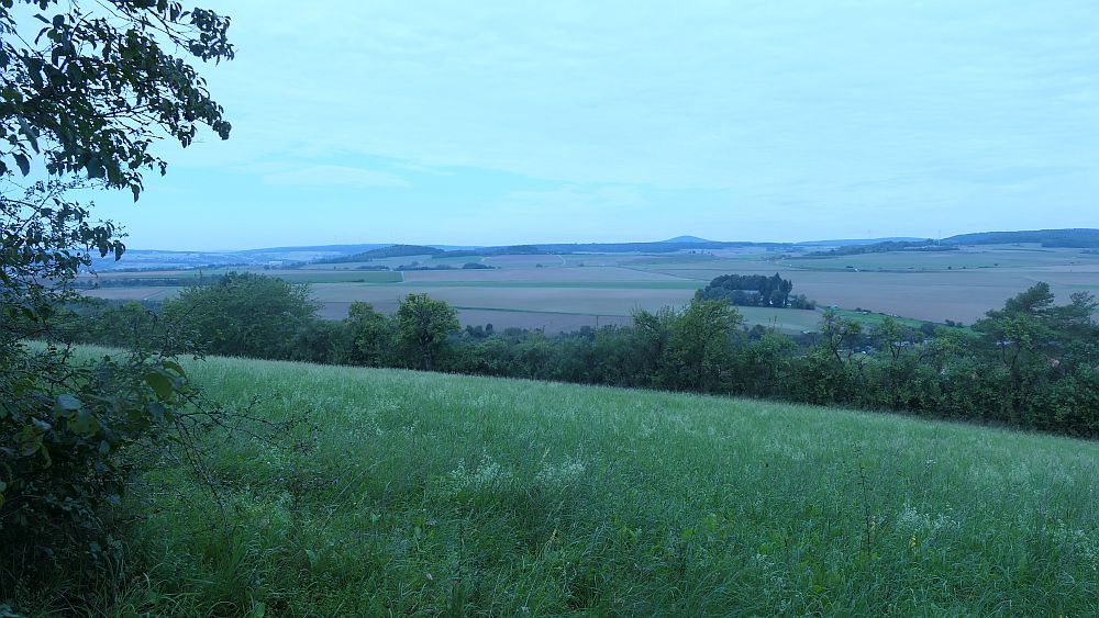 Weinberg
