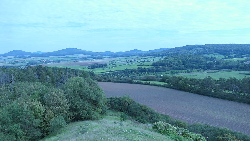 Weinberg