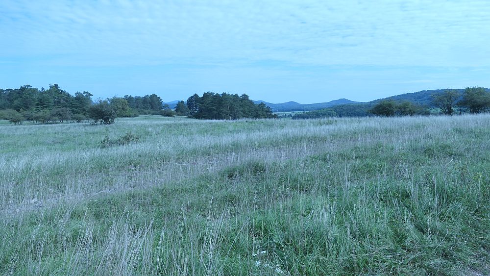 Weinberg
