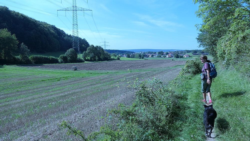 Weinberg