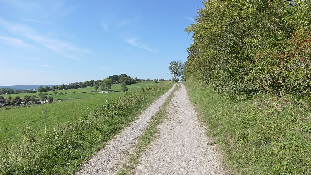 Weinberg