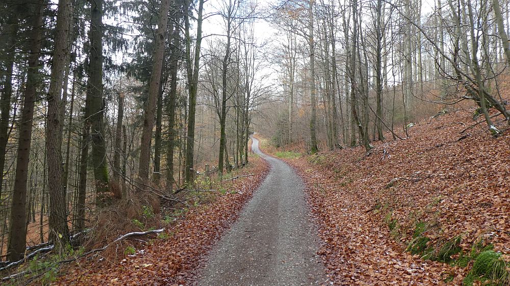 Rothaarsteig