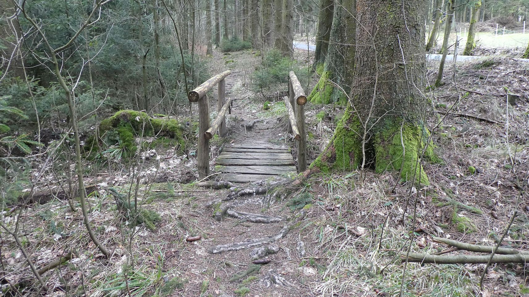 Rothaarsteig
