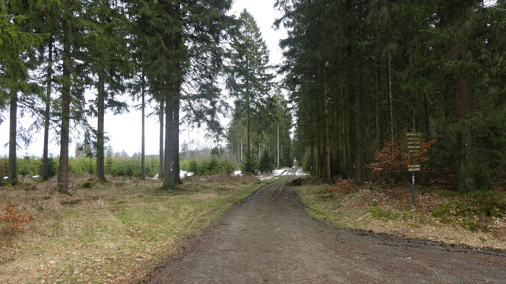 Rothaarsteig