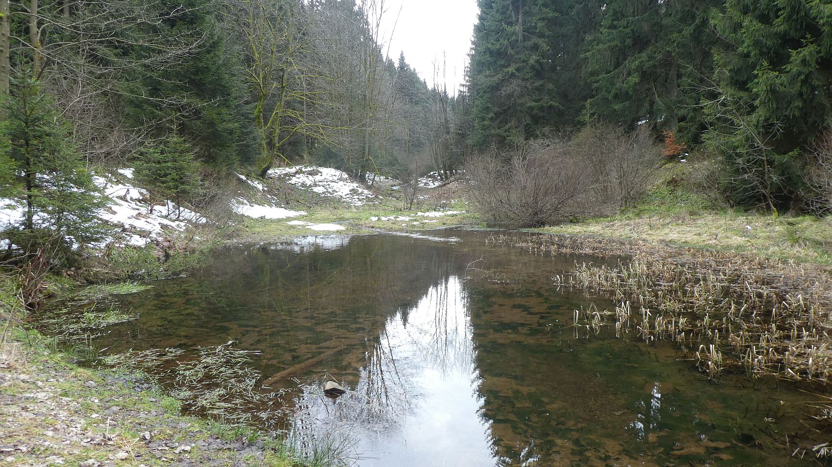Rothaarsteig