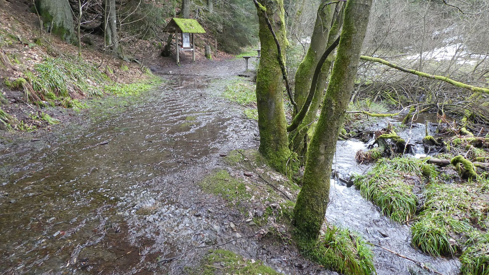 Rothaarsteig