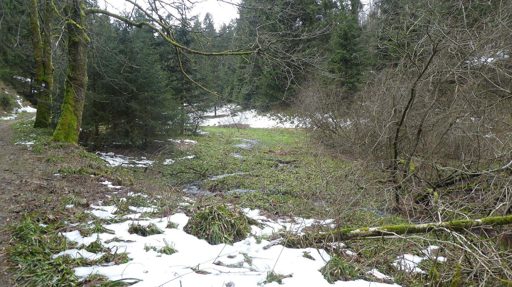 Rothaarsteig