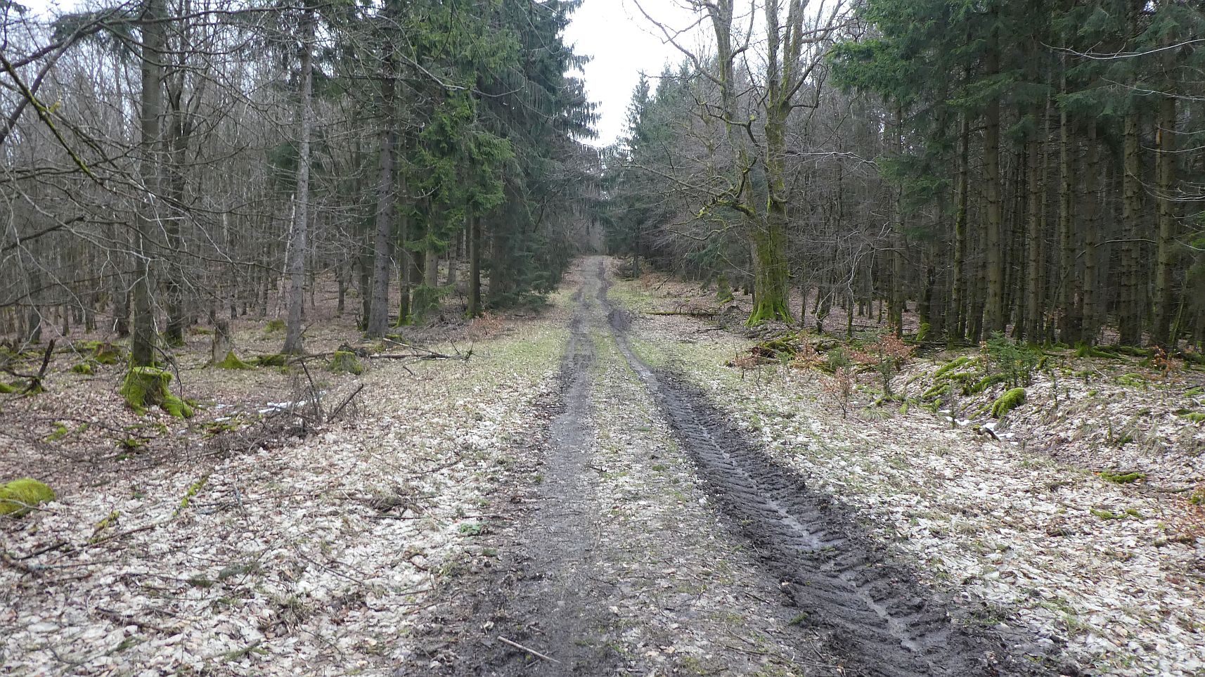 Rothaarsteig