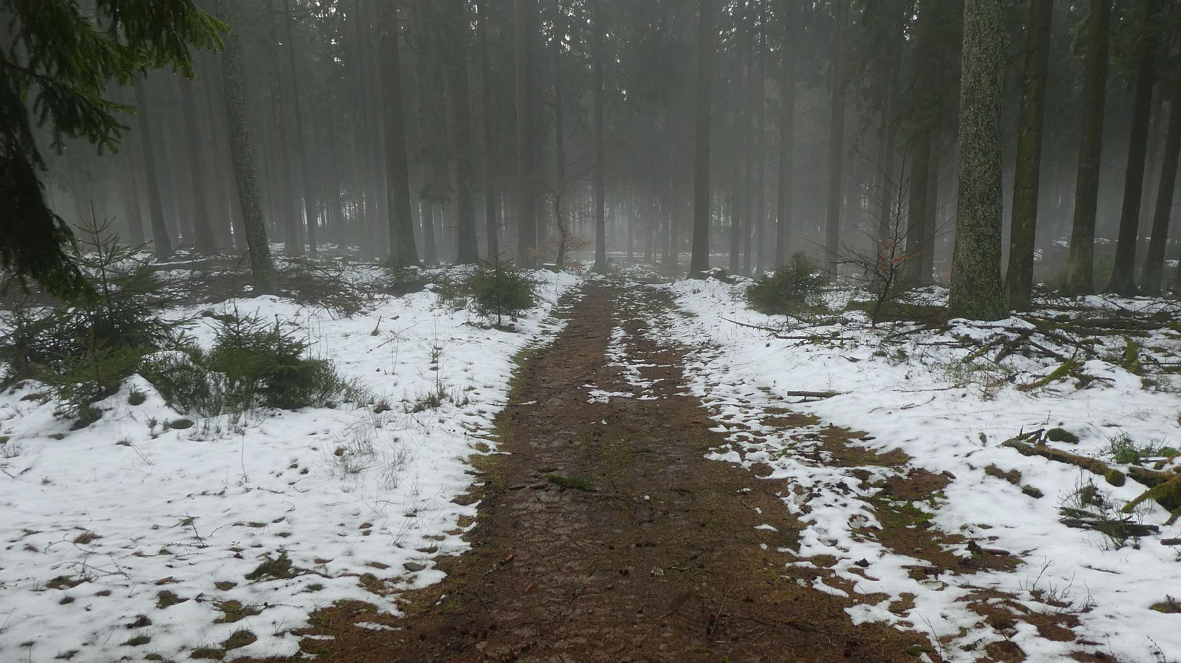 Rothaarsteig