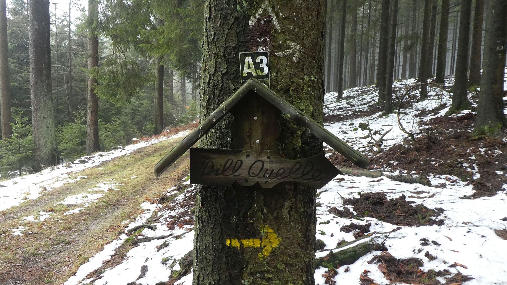 Rothaarsteig