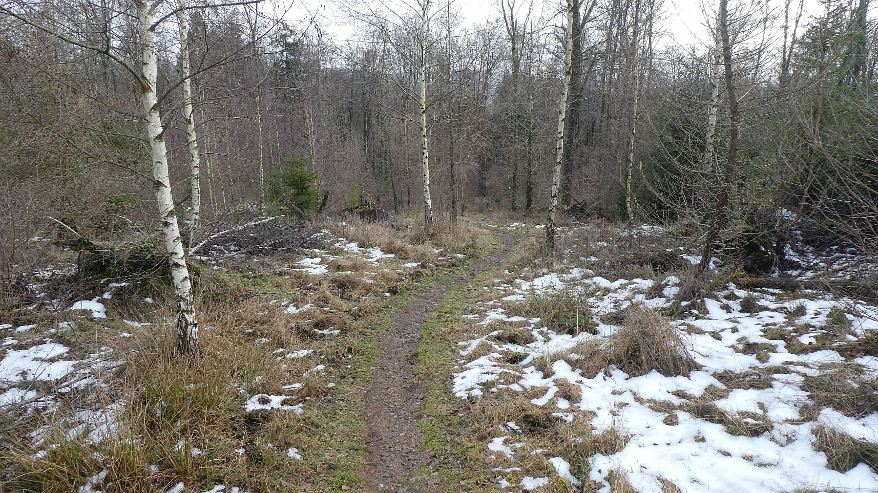 Rothaarsteig