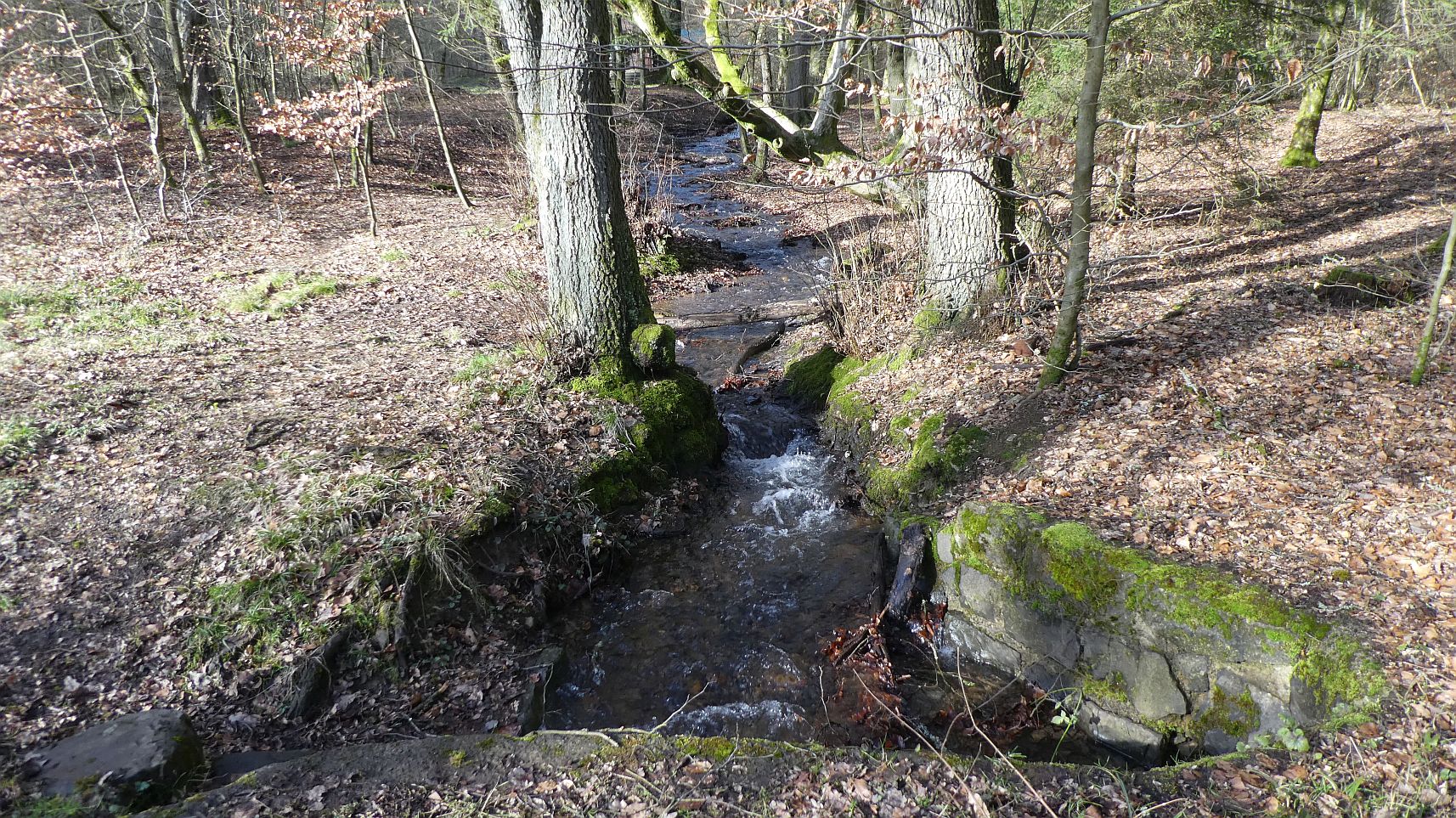 Rothaarsteig
