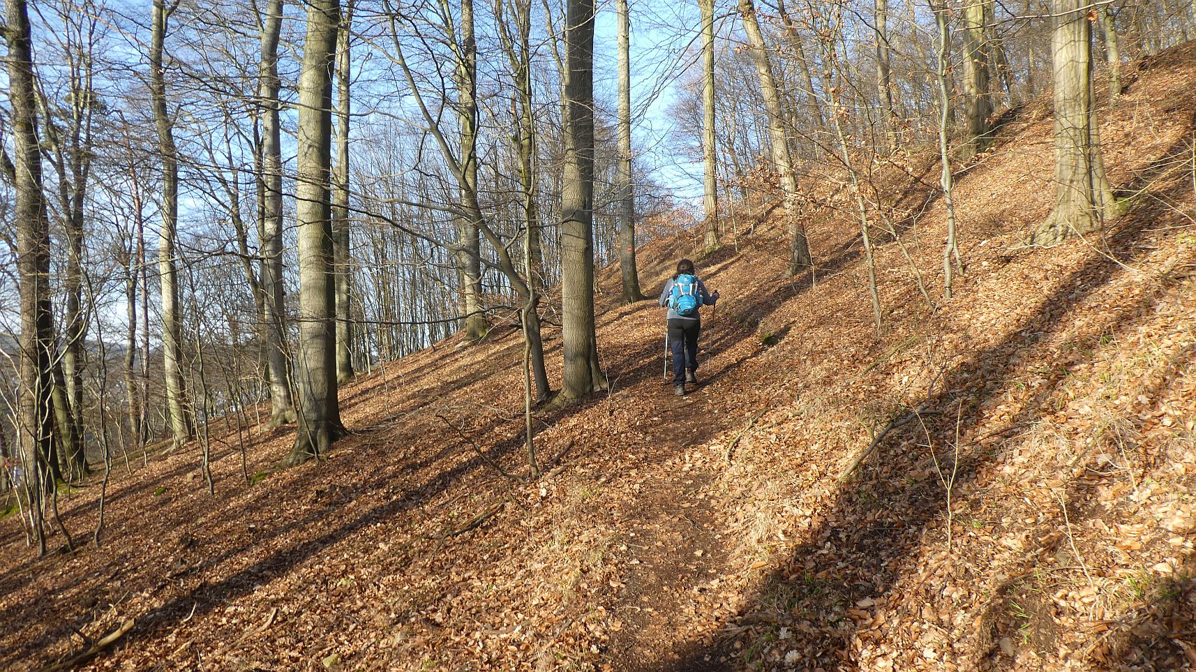 Rothaarsteig