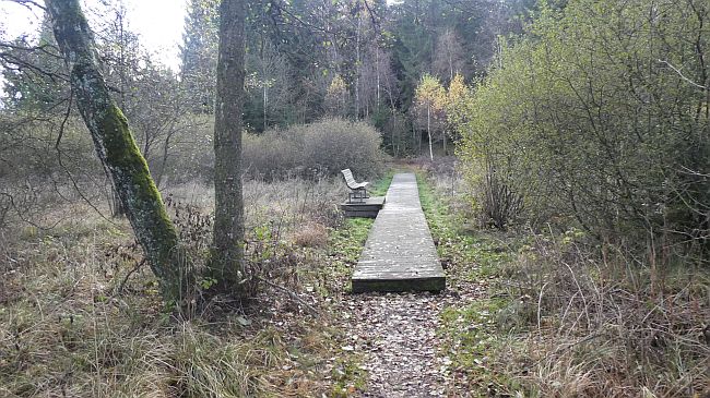 Rothaarsteig