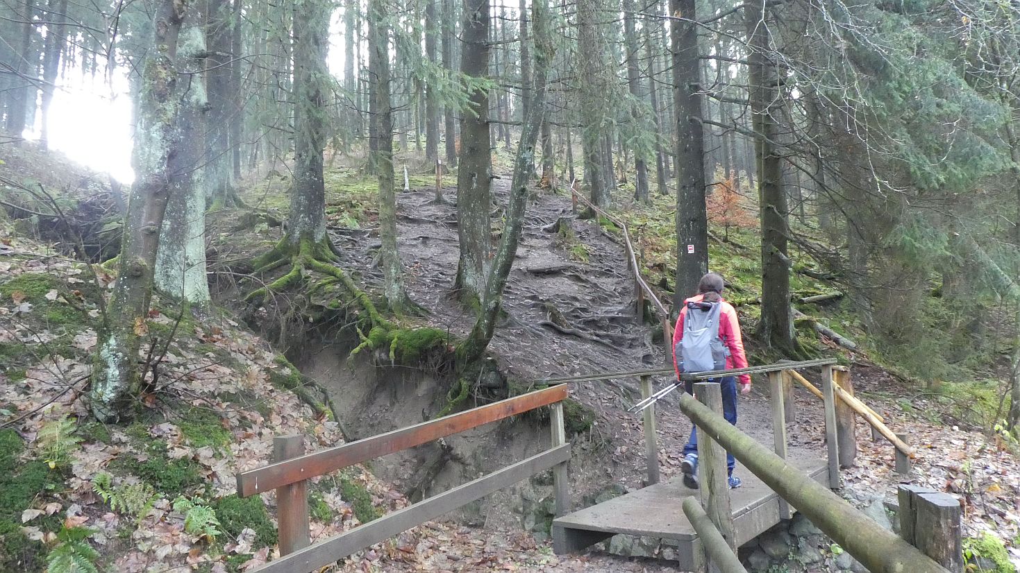 Rothaarsteig
