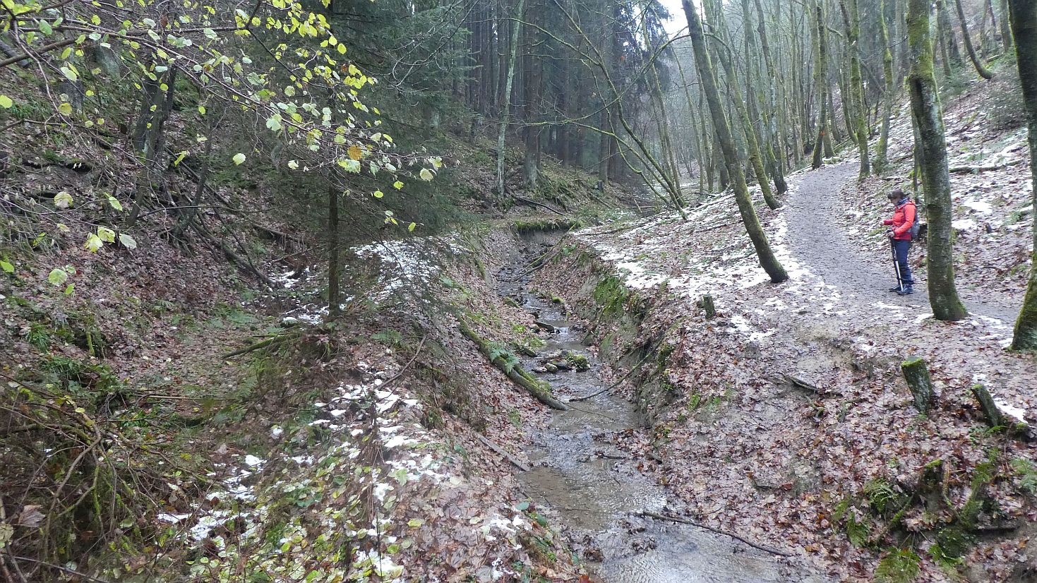 Rothaarsteig