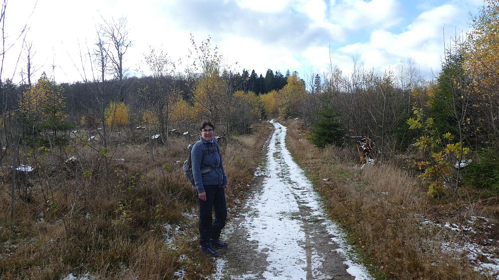 Rothaarsteig
