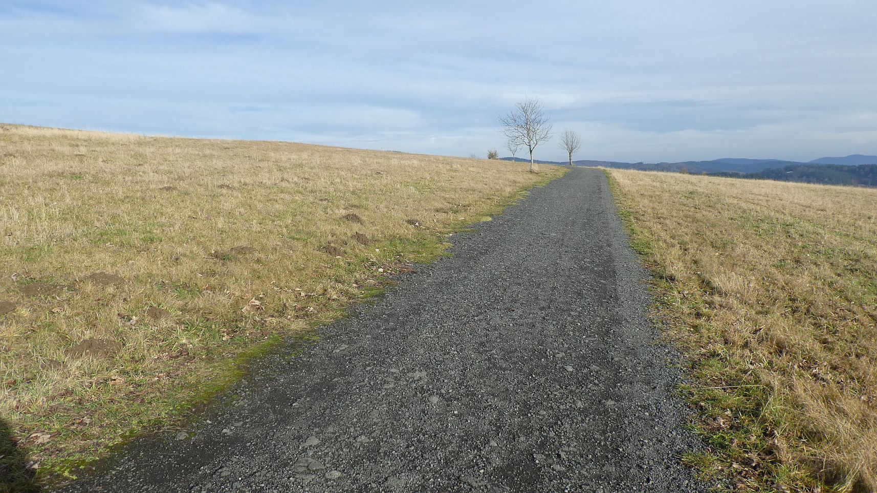 Rothaarsteig