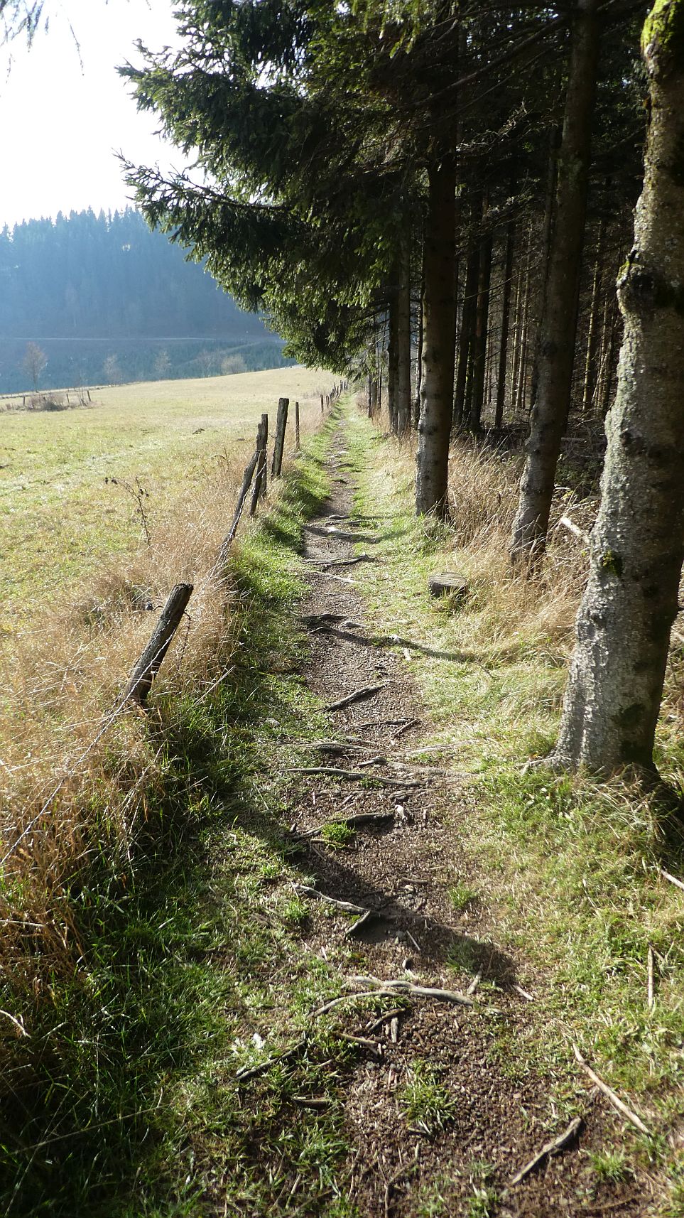 Rothaarsteig