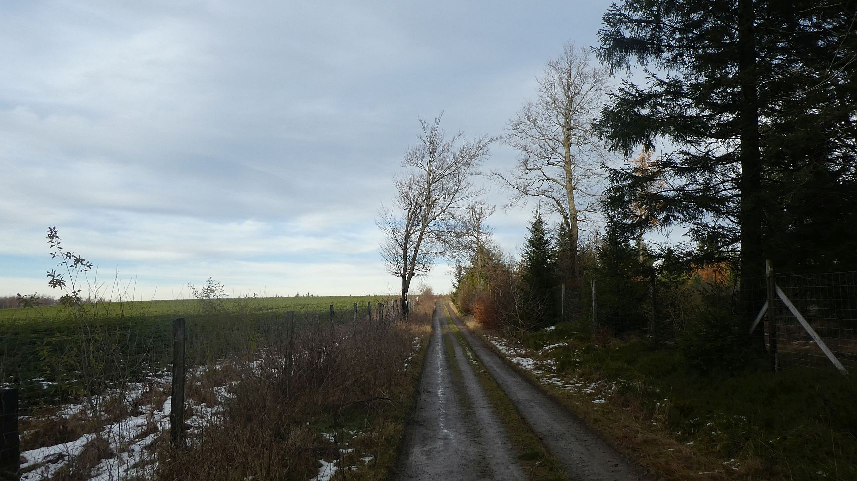 Rothaarsteig