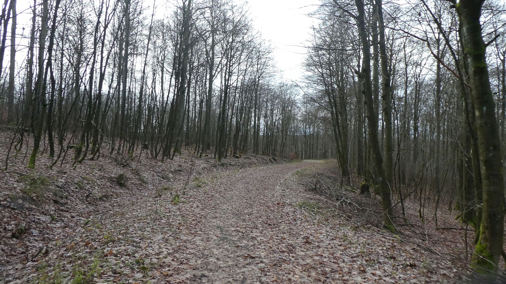 Rothaarsteig