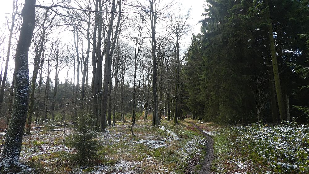 Rothaarsteig
