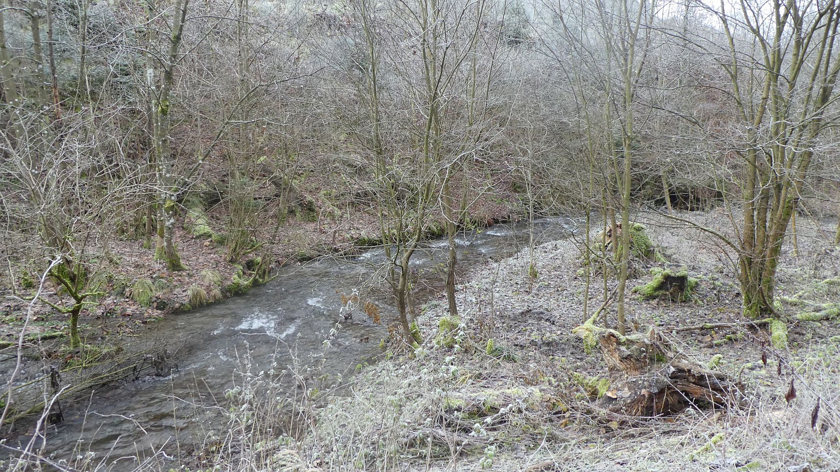 Rothaarsteig