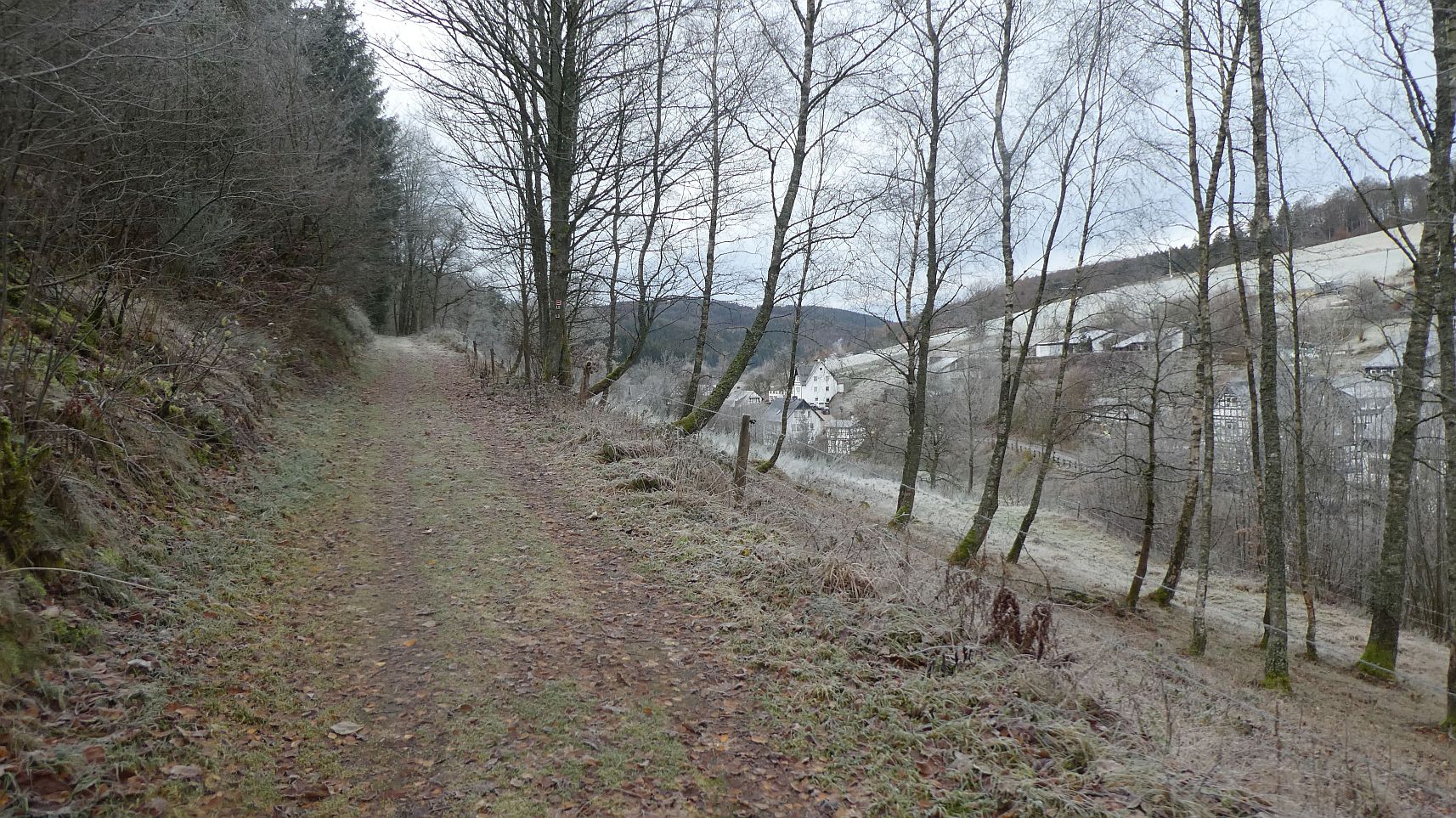 Rothaarsteig
