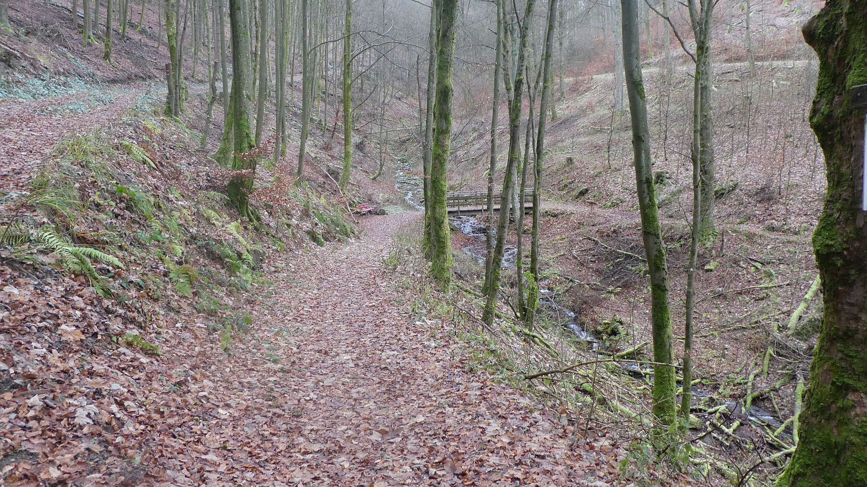 Rothaarsteig