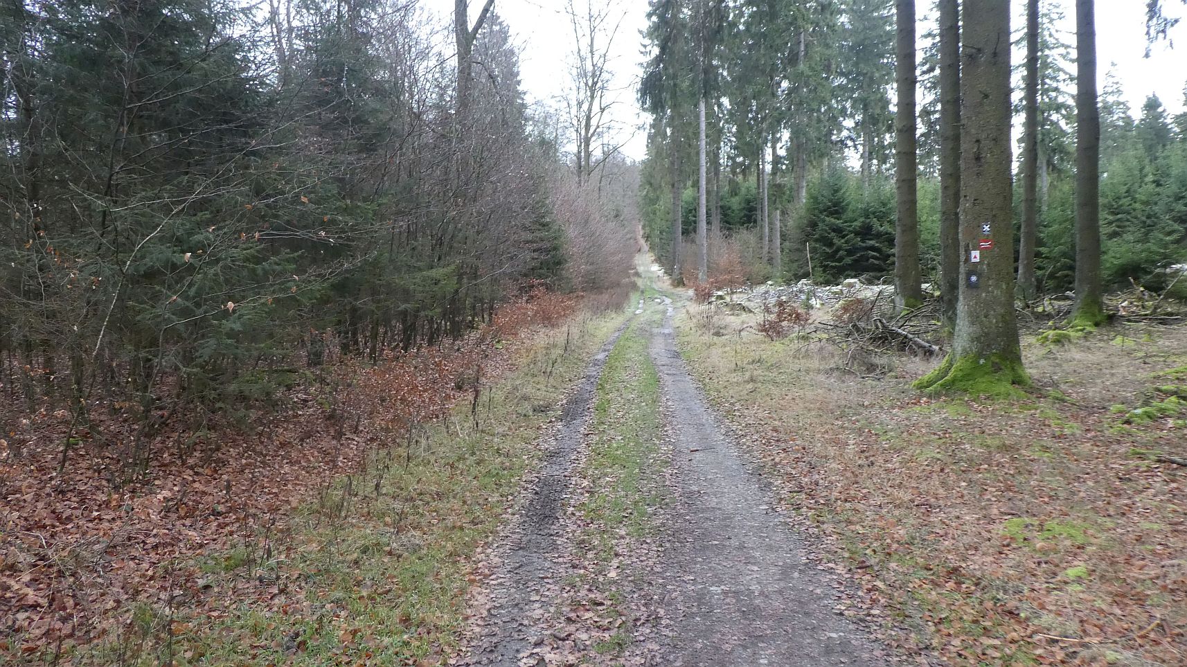Rothaarsteig