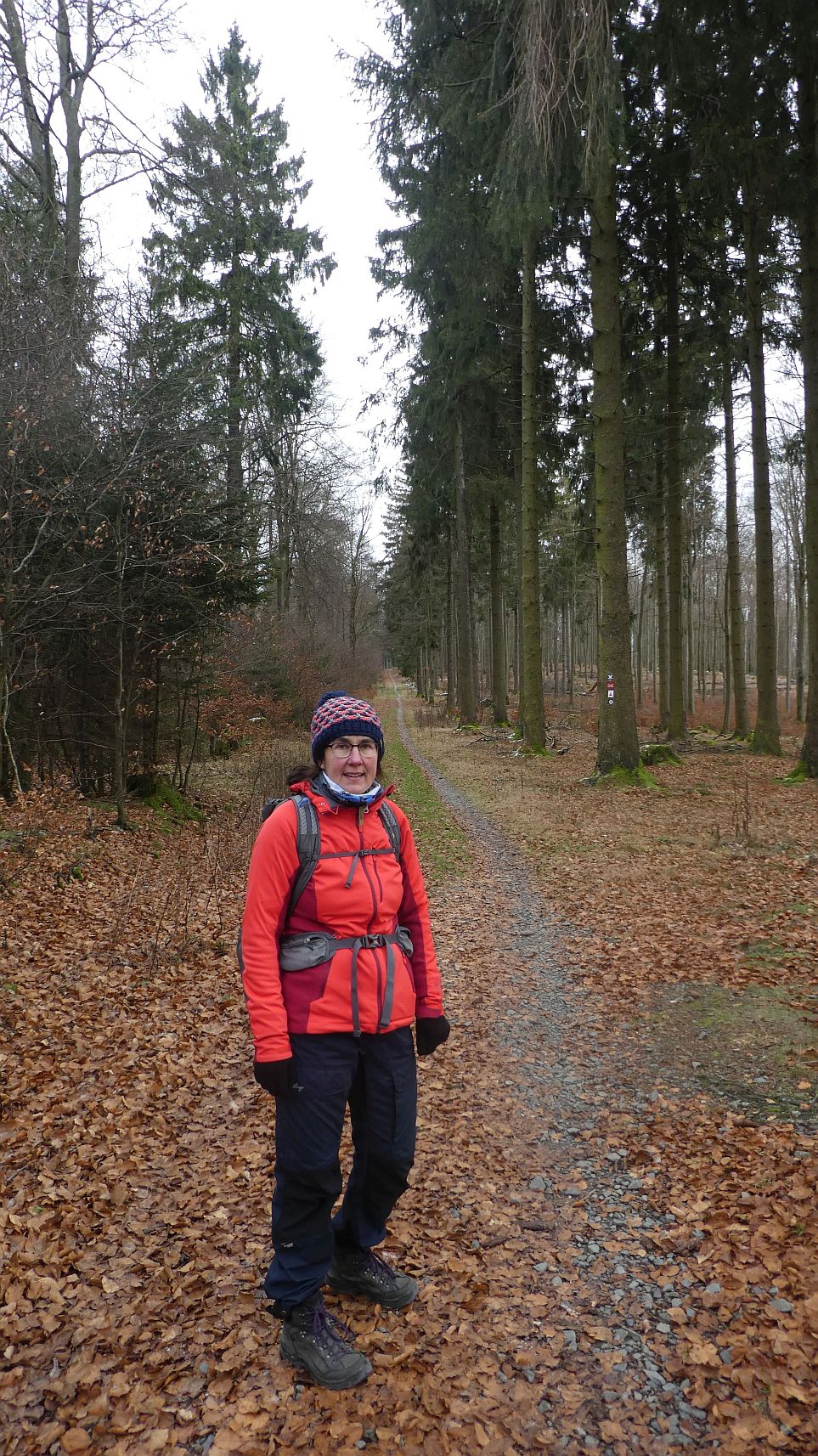 Rothaarsteig