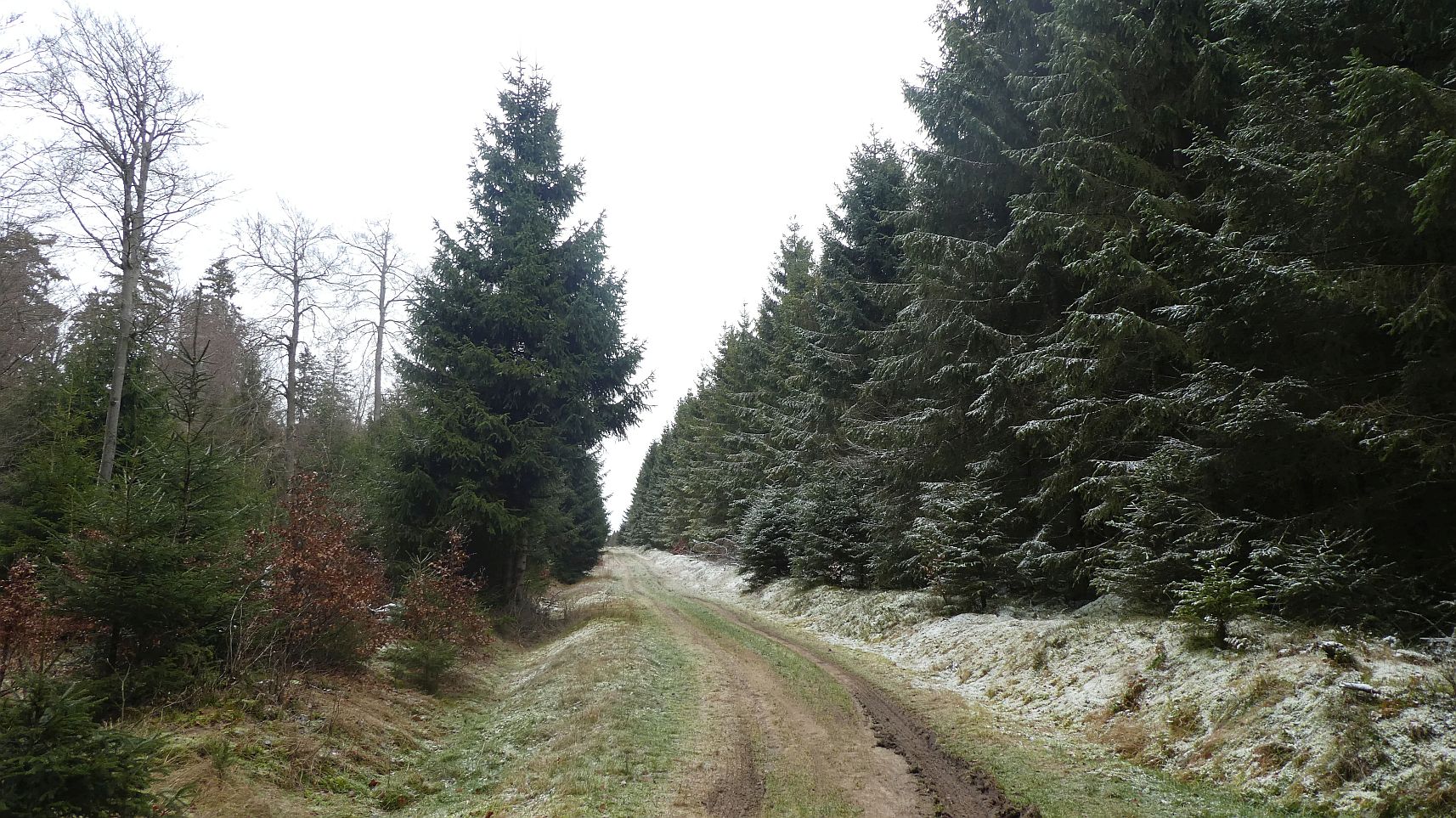 Rothaarsteig