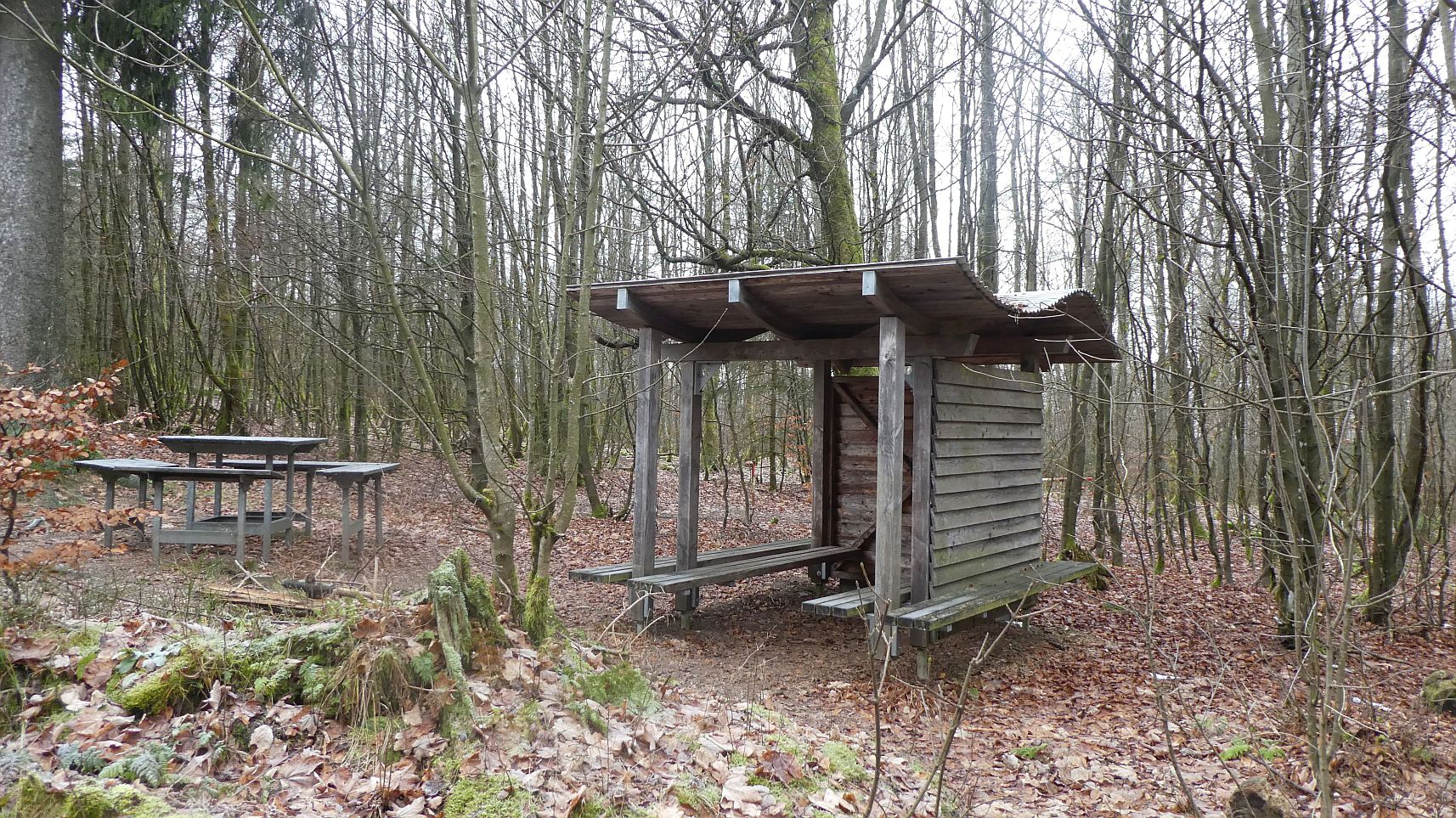 Rothaarsteig