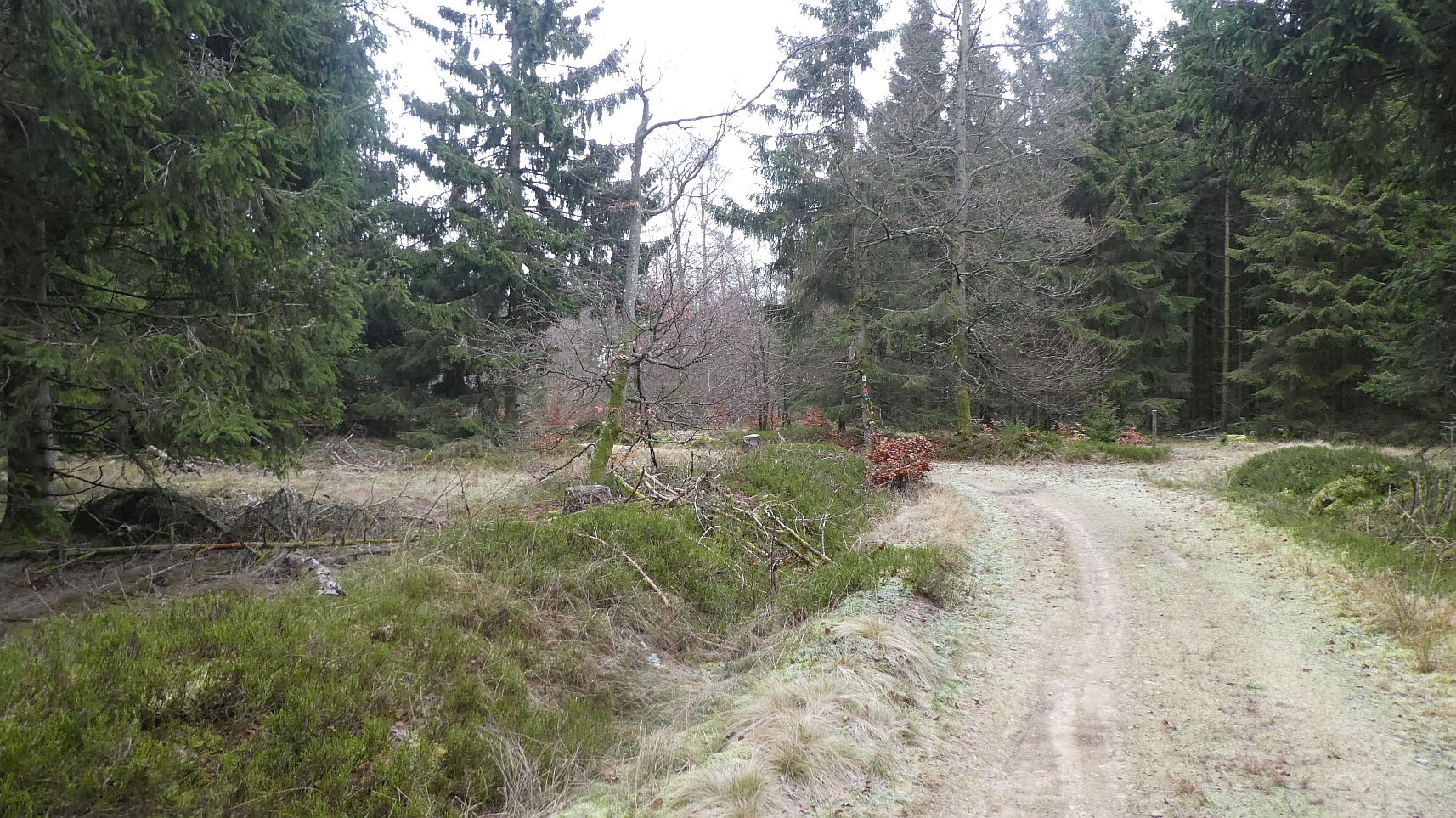 Rothaarsteig