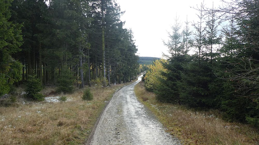 Rothaarsteig