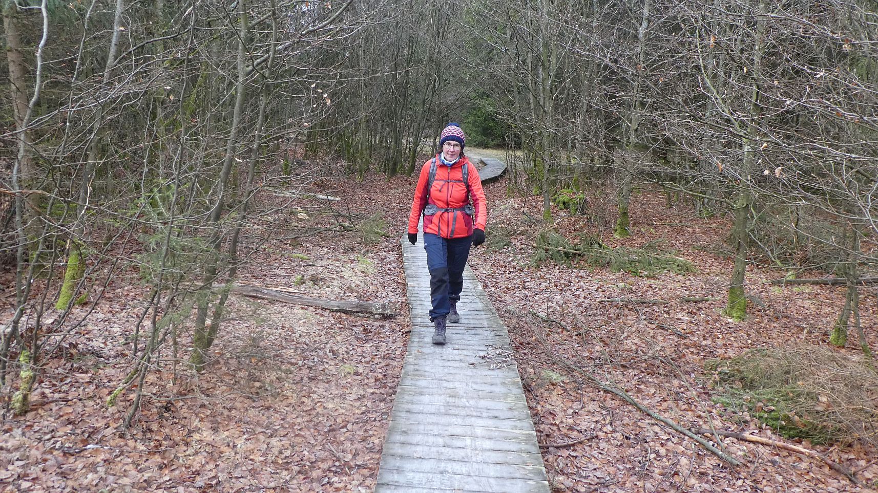 Rothaarsteig