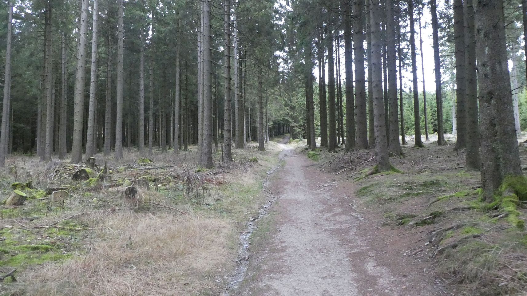 Rothaarsteig