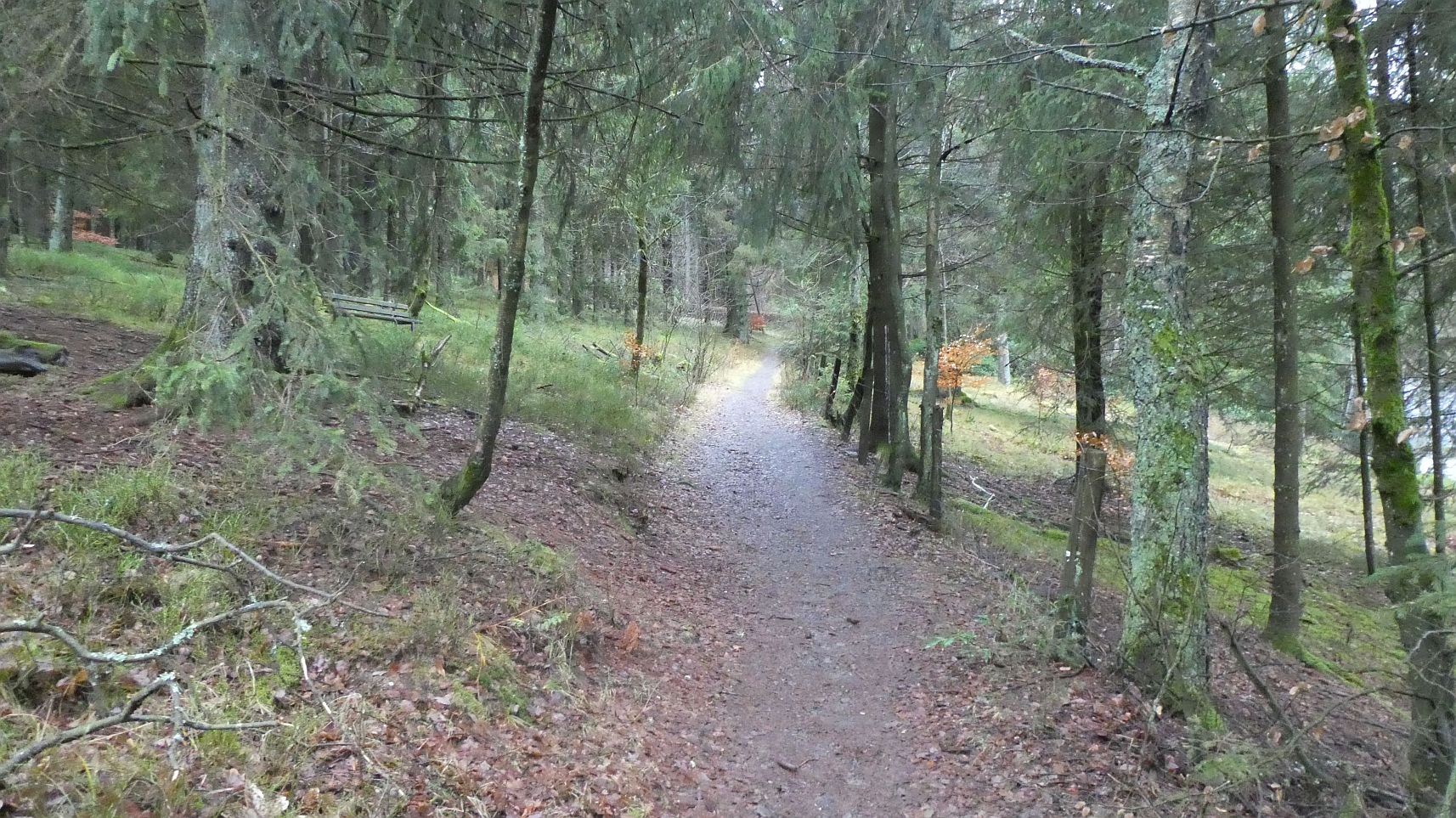 Rothaarsteig