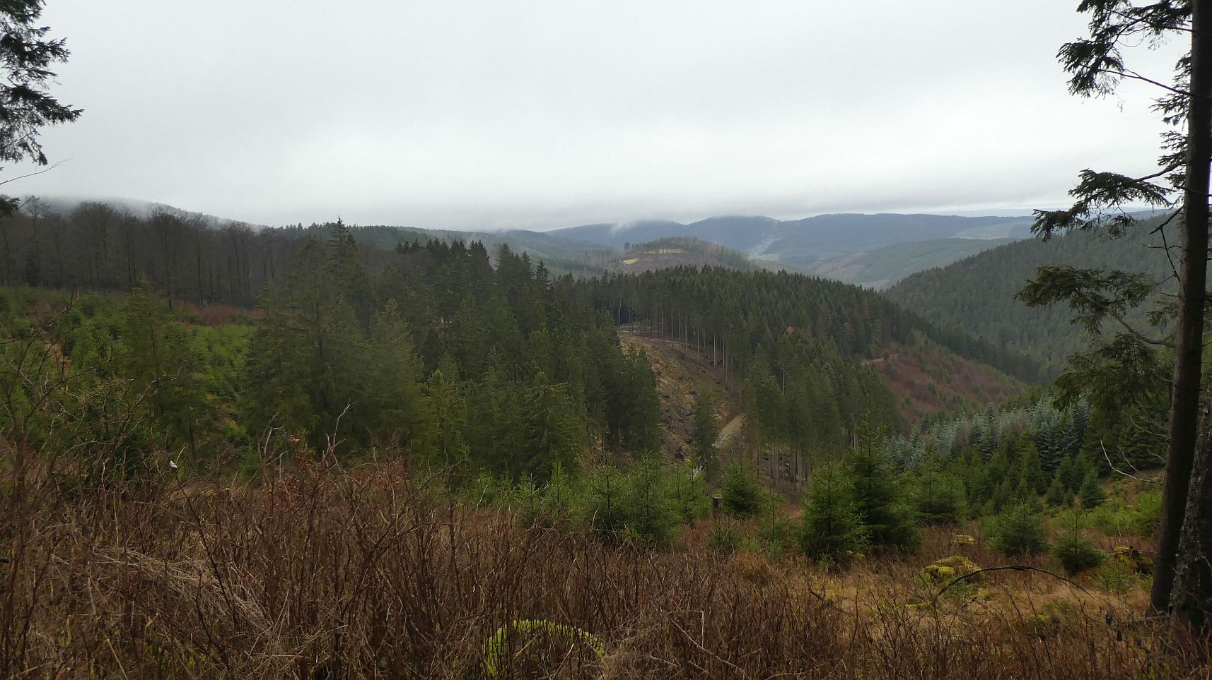 Rothaarsteig