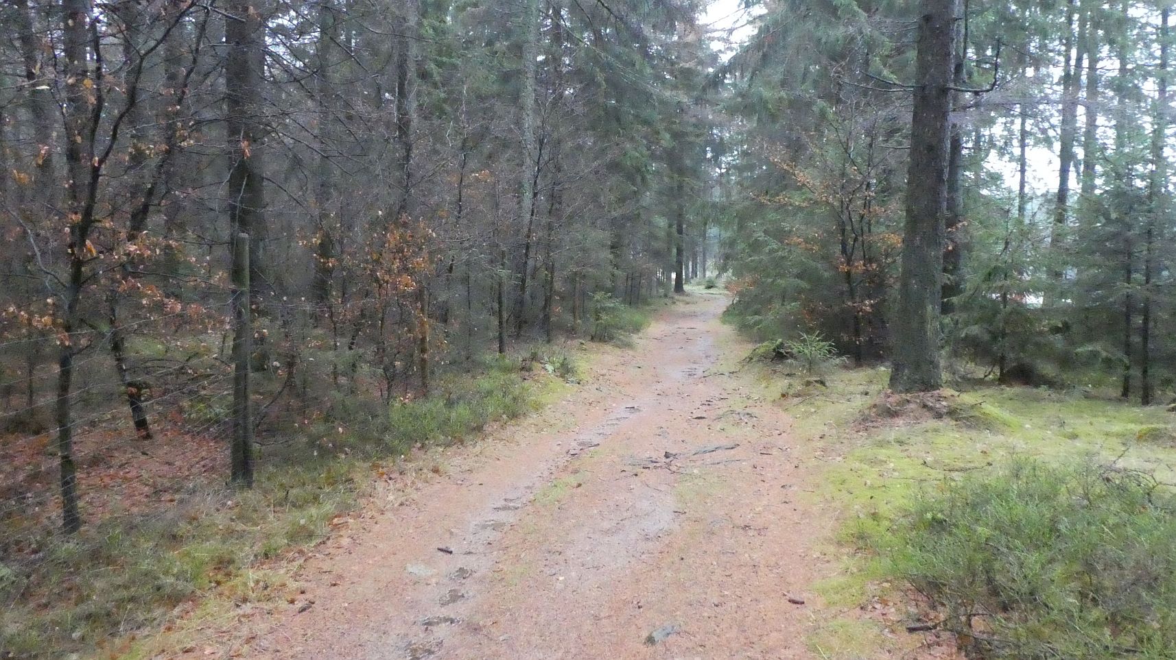 Rothaarsteig